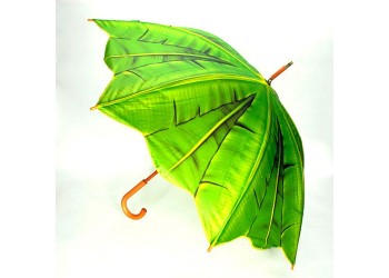 Paraguas Palmera